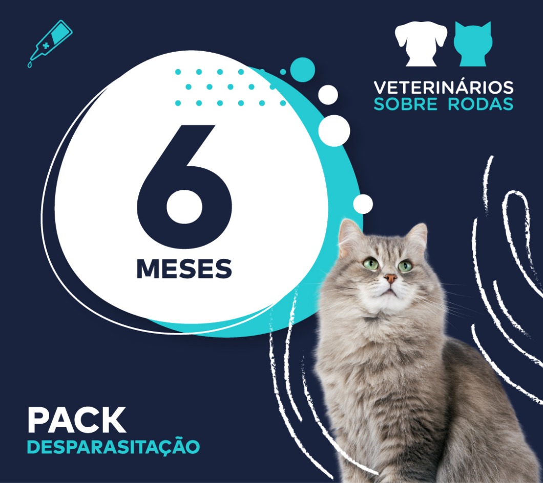 pack 6 gato